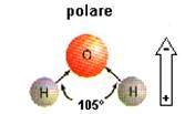 http://www.scienzaoggi.it/chim/chim1/7IntPart/img7/H2O-3D-2-p.jpg