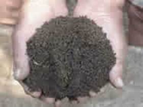 Compost finito