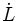 \dot L