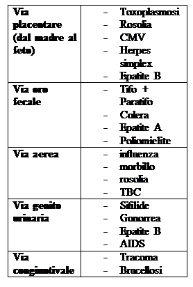 Casella di testo: Via placentare  (dal madre al feto)	-	Toxoplasmosi  -	Rosolia  -	CMV  -	Herpes simplex  -	Epatite B  Via oro fecale	-	Tifo + Paratifo  -	Colera  -	Epatite A  -	Poliomielite  Via aerea	-	influenza  -	morbillo  -	rosolia  -	TBC  Via genito urinaria	-	Sifilide  -	Gonorrea  -	Epatite B  -	AIDS  Via congiuntivale	-	Tracoma  -	Brucellosi