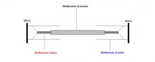 miofibrilla-2