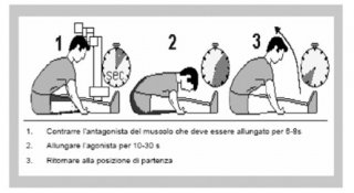 contrazione-rilassamento-inibizione-6