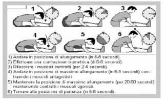 contrazione-rilassamento-allungamento-7