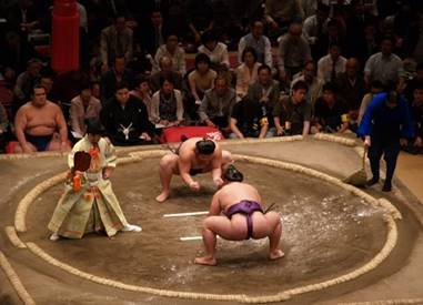 sumo