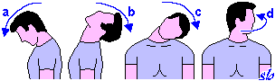 http://www.sportraining.net/images/glossario/glossa13.gif