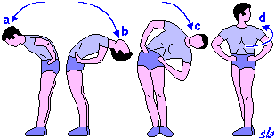 http://www.sportraining.net/images/glossario/glossa14.gif