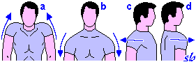 http://www.sportraining.net/images/glossario/glossa15.gif