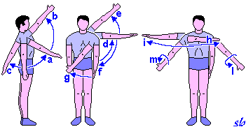 http://www.sportraining.net/images/glossario/glossa16.gif