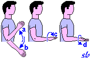 http://www.sportraining.net/images/glossario/glossa17.gif