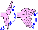 http://www.sportraining.net/images/glossario/glossa18.gif