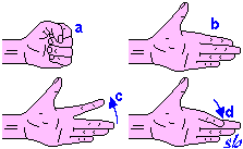http://www.sportraining.net/images/glossario/glossa19.gif