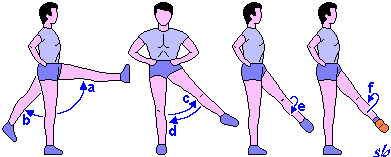http://www.sportraining.net/images/glossario/glossa20.gif