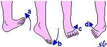 http://www.sportraining.net/images/glossario/glossa22.gif
