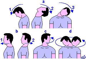 http://www.sportraining.net/images/glossario/glossa23.gif