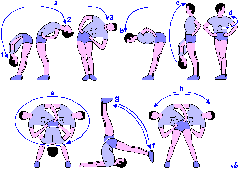 http://www.sportraining.net/images/glossario/glossa24.gif