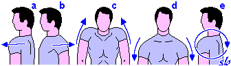 http://www.sportraining.net/images/glossario/glossa25.gif