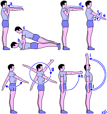 http://www.sportraining.net/images/glossario/glossa26.gif