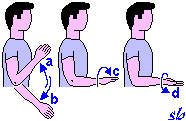http://www.sportraining.net/images/glossario/glossa27.gif