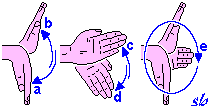 http://www.sportraining.net/images/glossario/glossa28.gif