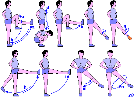 http://www.sportraining.net/images/glossario/glossa29.gif