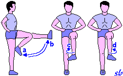 http://www.sportraining.net/images/glossario/glossa30.gif