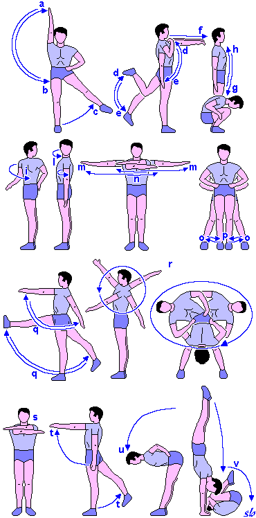 http://www.sportraining.net/images/glossario/glossa32.gif