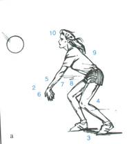 pallavolo