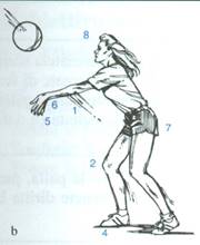 pallavolo