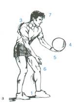 pallavolo