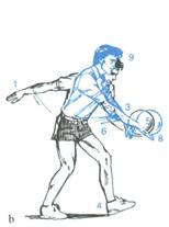 pallavolo