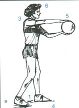 pallavolo