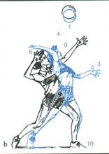 pallavolo