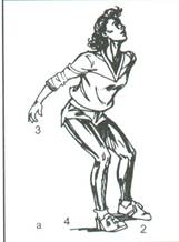 pallavolo