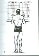 pallavolo