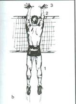 pallavolo