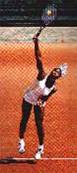 Hingis.JPG