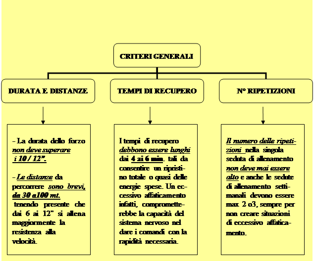 Organigramma