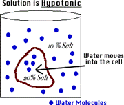 hypotonic